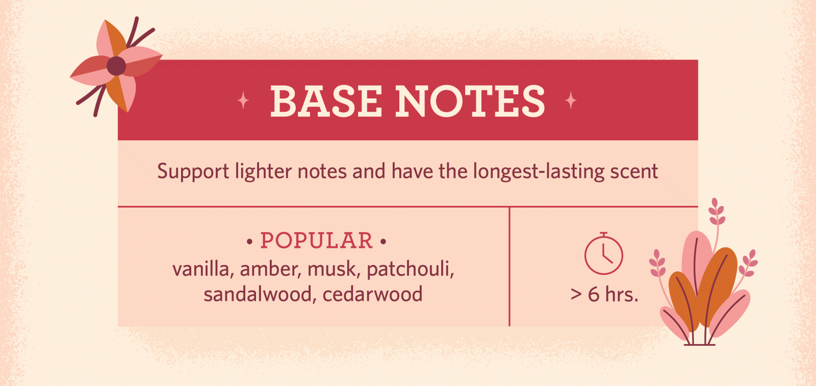 نت های پایانی در هرم بویایی عطر - بیس نت Base Notes
