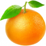 پرتقال ماندارین