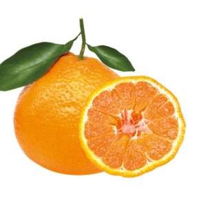 پرتقال هندی